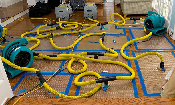 Professional Water Extraction technician working in Heath, TX